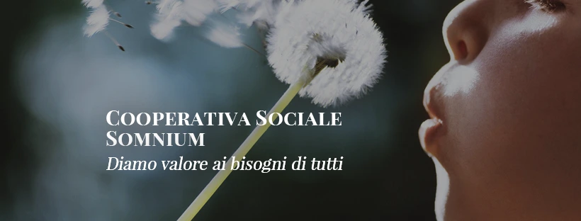 Creazione logo aziendale e identità di brand per Sicilyfound